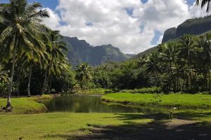 Nuku Hiva, un viaje a la esencia de las Islas Marquesas